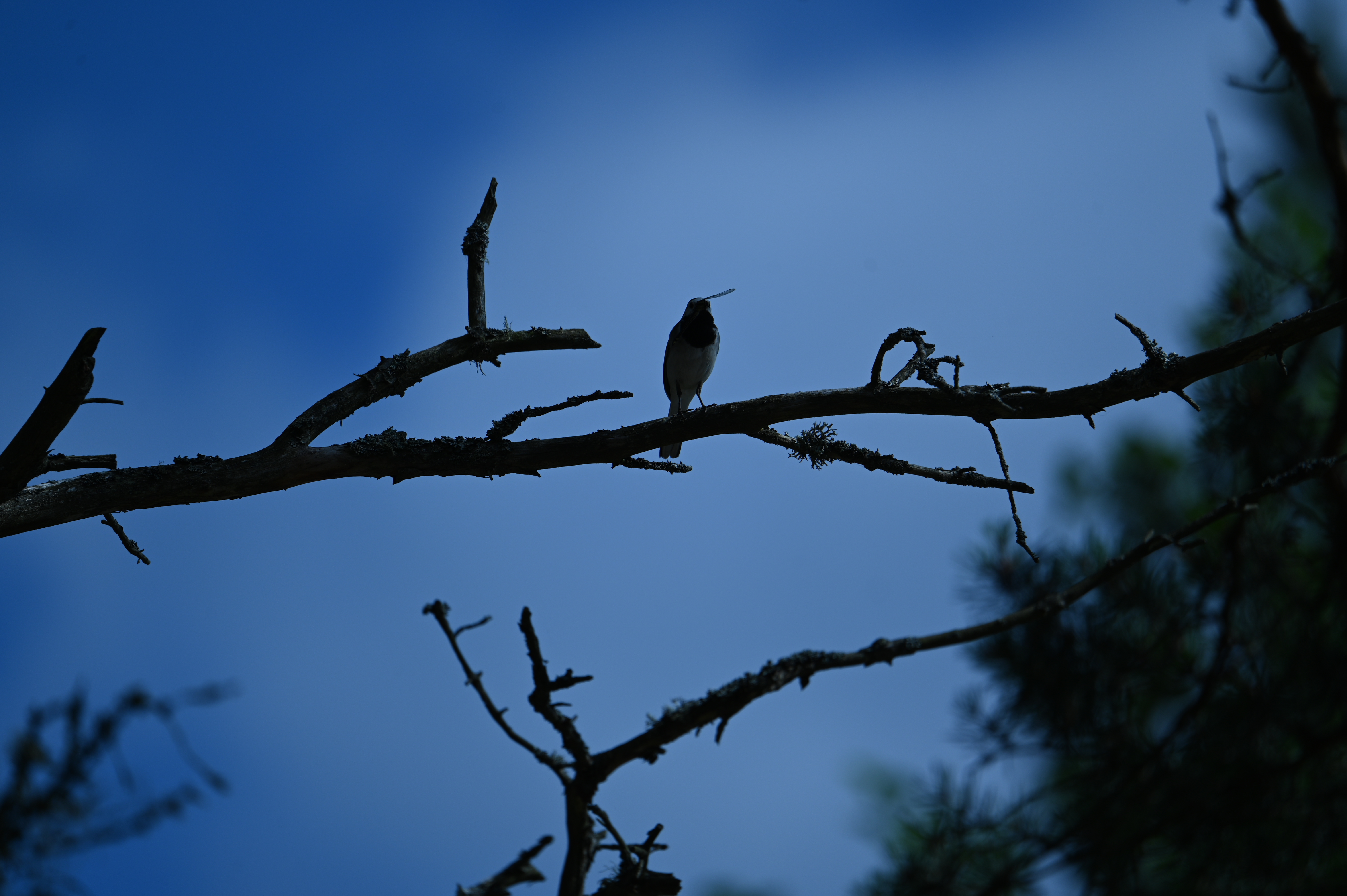 2025/07/09-14 - trip/DSC_0459.JPG